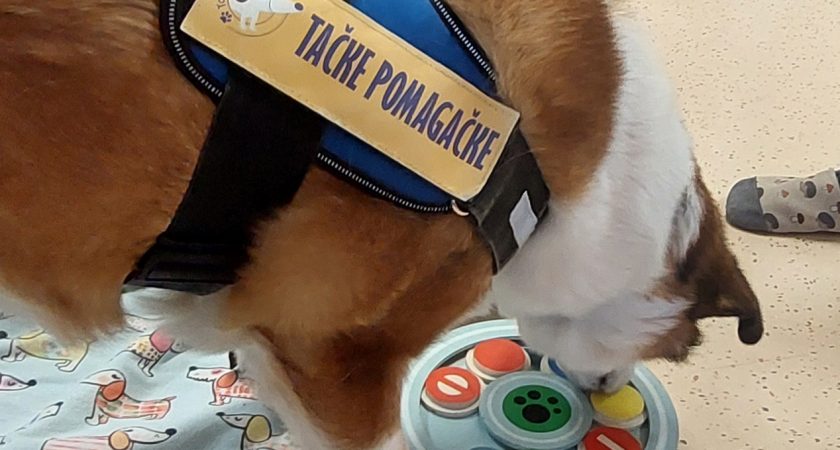 Tačke pomagačke – Pikica in Andreja na obisku – 2.del