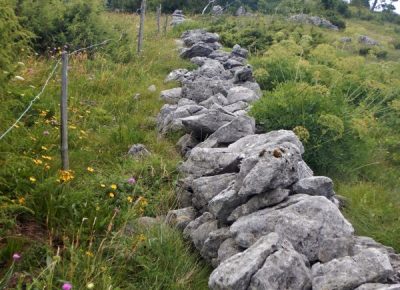 Spoznavanje suhozidne gradnje pri skupini Čebelice