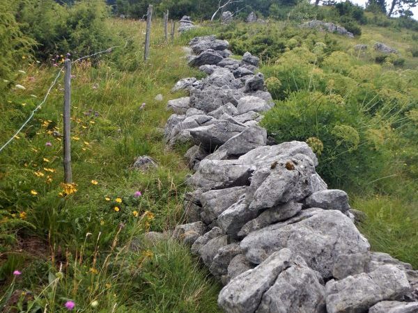 Spoznavanje suhozidne gradnje pri skupini Čebelice