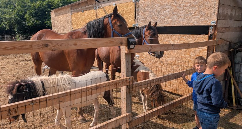 Nepozabne dogodivščine otrok v enoti Materija