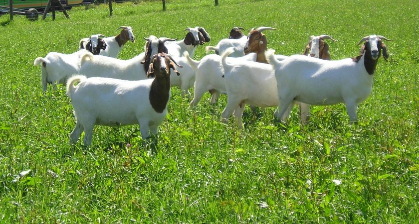 Izlet z avtobusom v Lokev– dan poln doživetij