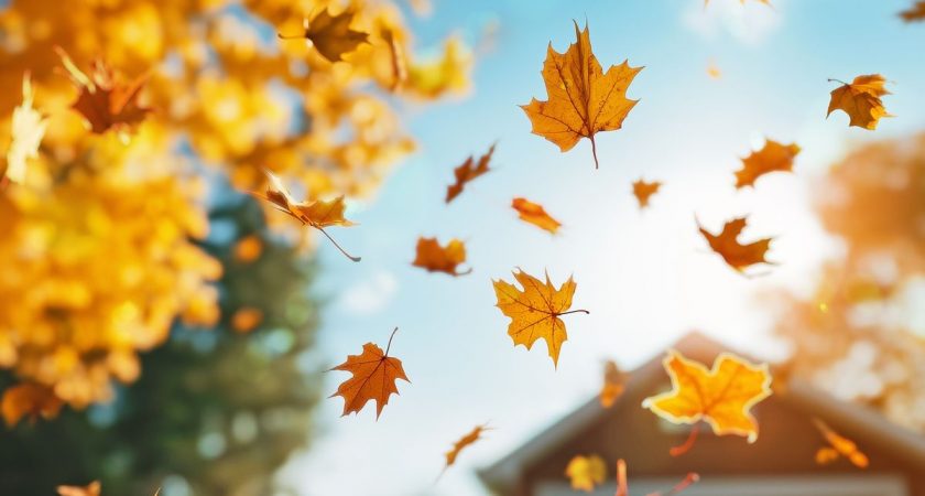September v skupini Levčki: Čas za spoznavanje in povezovanje