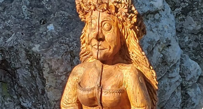 Bralni škrat Dobrošin