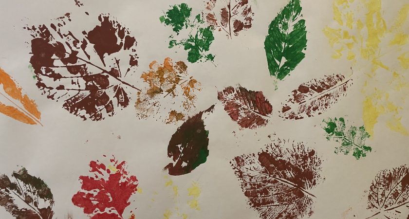 Barvita jesen pri Medvedkih