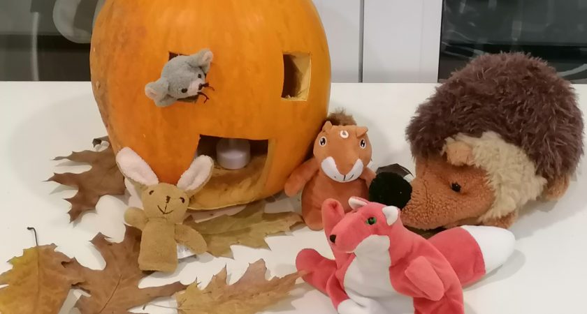 Razbita buča v skupini Slončki