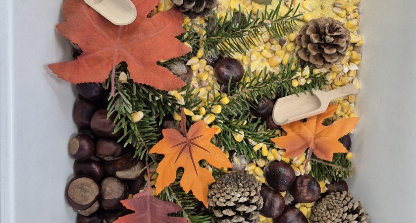 BARVITA JESEN V SKUPINI ČEBELICE