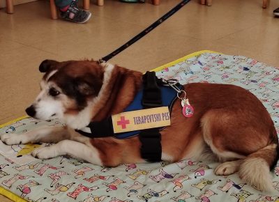 Tačke pomagačke na obisku