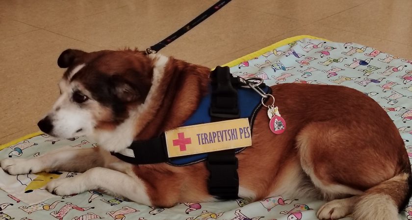 Tačke pomagačke na obisku