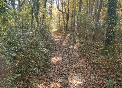 Jesenski pohod do vasi Skopo