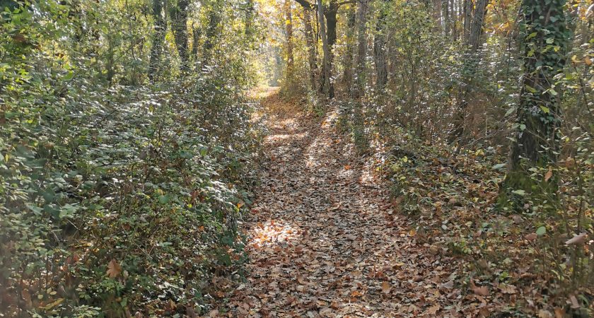 Jesenski pohod do vasi Skopo