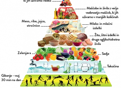 Novembrsko raziskovanje hrane v skupini Lisičke