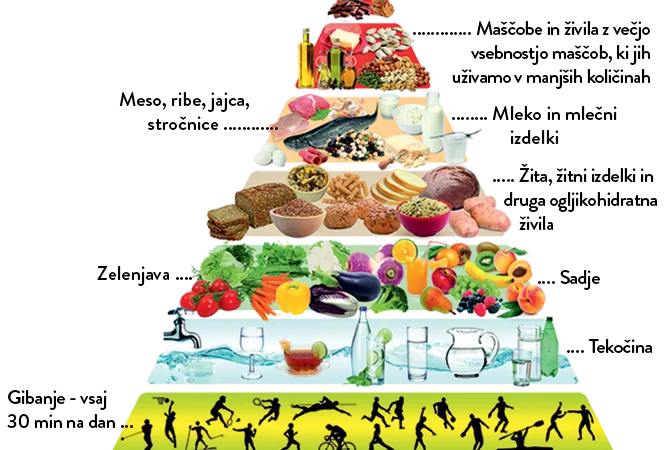 Novembrsko raziskovanje hrane v skupini Lisičke