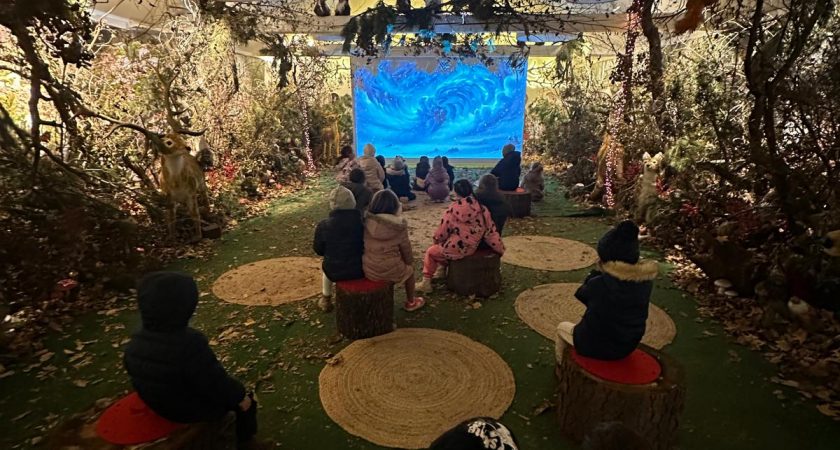 Obisk dobrega moža v skupini Flamingi