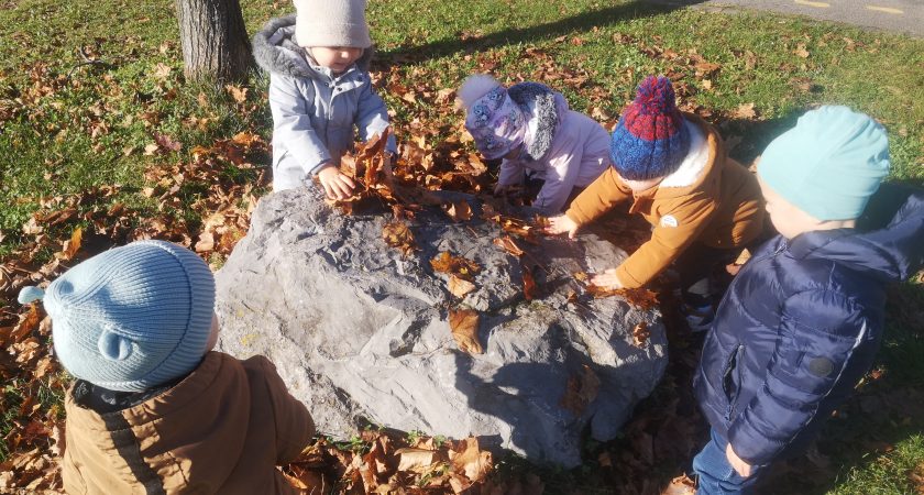 November v skupini Levi