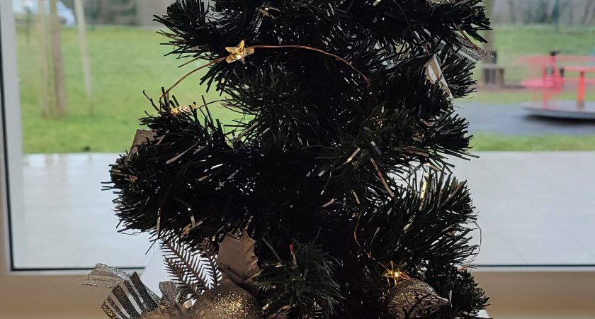 Decembrske ustvarjalnice v skupini Žabice