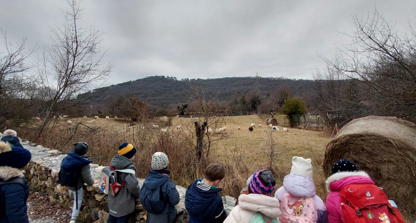 Mesec januar v skupini Netopirčki
