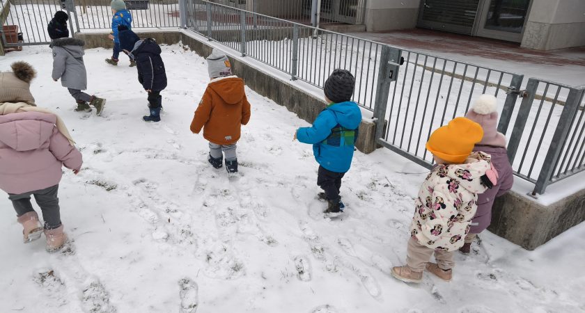 Januar v skupini Levi