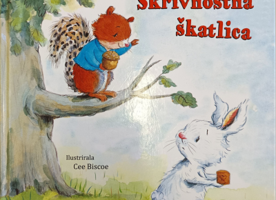 Skrivnostna škatlica