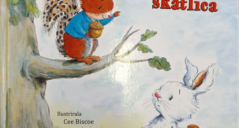 Skrivnostna škatlica