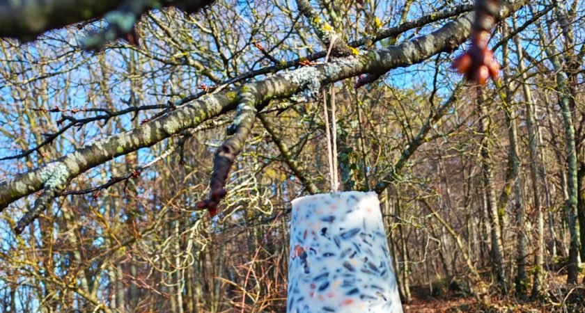 Otroci skupine Ježki skrbijo za ptice pozimi