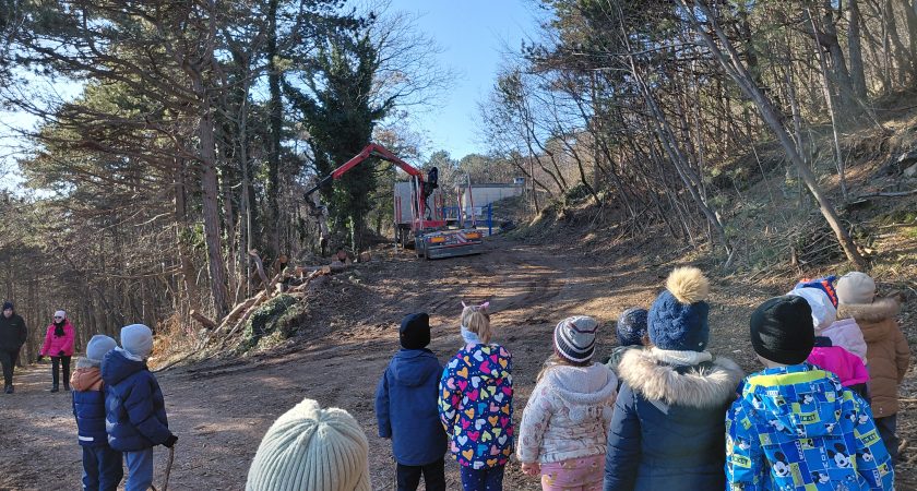 Mesec februar v skupini Netopirčki