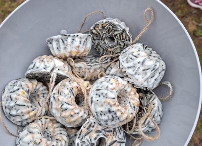 Potičke za ptičke pri Medvedkih