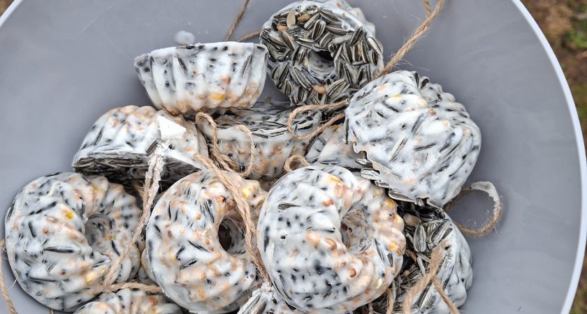 Potičke za ptičke pri Medvedkih