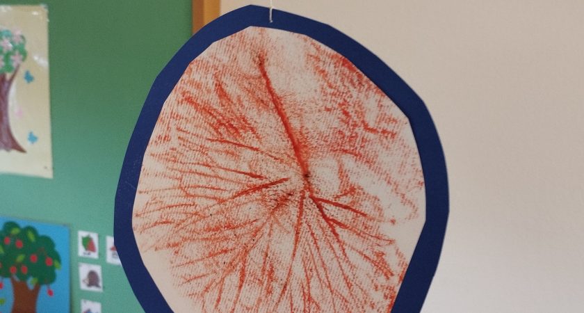 Eko projekt Mladi raziskovalci