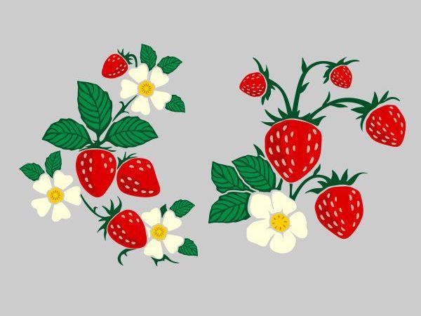 Na vrtu s skupino Ježki