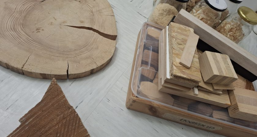 Les je lep – arhitekturno igriv dopoldan z otroki