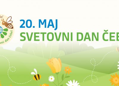 Svetovni dan čebel v skupini Želvice