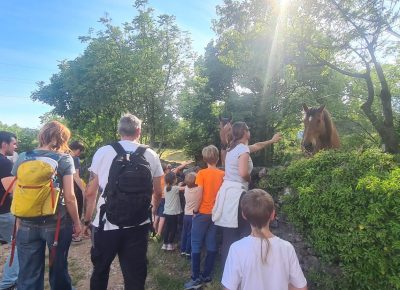 Zaključni pohod in raziskovanje Brij pri Komnu