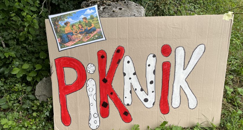 Zaključna piknik dogodivščina