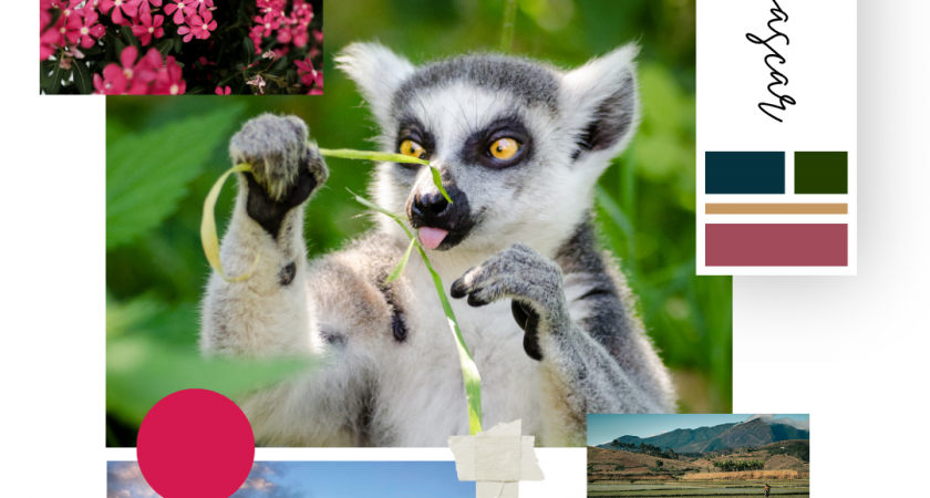 Sprehod po Dutovljah nas je popeljal na Madagaskar